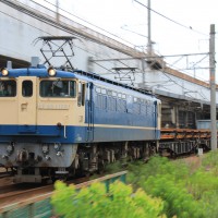 2015/07/16　湘南電車とEF65牽引ロンチキ！早起きはネタ列車の得？